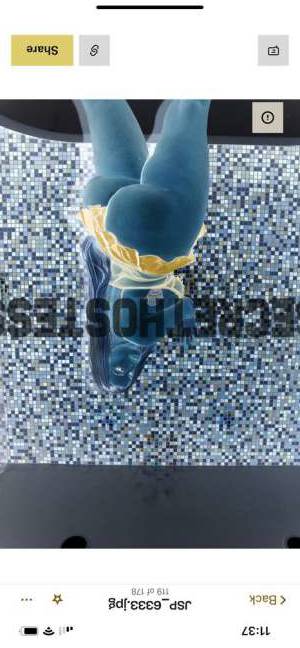 35Yrs Old Escort 79KG 167CM Tall Miami FL Image - 14