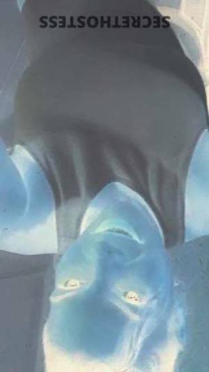 22 year old Cuban Escort in Miami FL Sensual Cuban Beauty Annie Offers Erotic Adventures 22, 34C