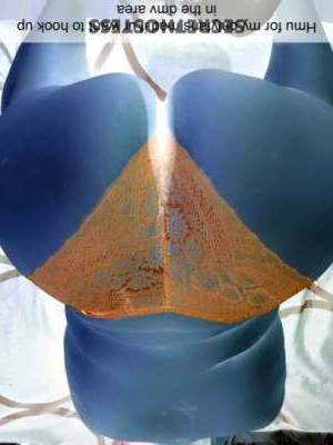 24 year old Escort in Northern Virginia DC BBWs waiting for You