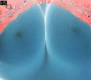 25 year old Latino Escort in Wicklow East Coast and Midlands Relax and Let Go with a Sensual Massage by Nora