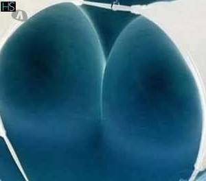 25 year old Latino Escort in Cork South West Full-Service Relaxing Body Massage with Lingam Finish by 