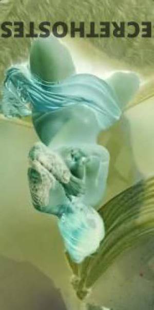 44 year old Escort in Bowen Hills Brisbane Experience Erotic Magick with Trained Practitioner Raven - 