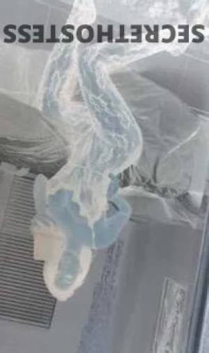 Tracy 25Yrs Old Escort Brisbane Image - 3