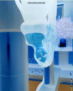 Wendy Escort Fort Worth TX Image - 2