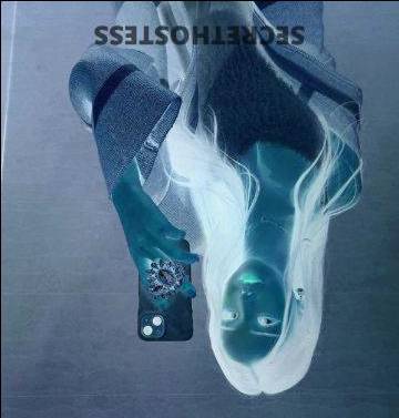 22Yrs Old Escort San Jose CA Image - 2