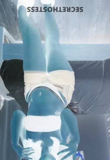 Daniella 21Yrs Old Escort Treasure Coast FL Image - 0