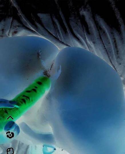 KANDII 25Yrs Old Escort Treasure Coast FL Image - 0