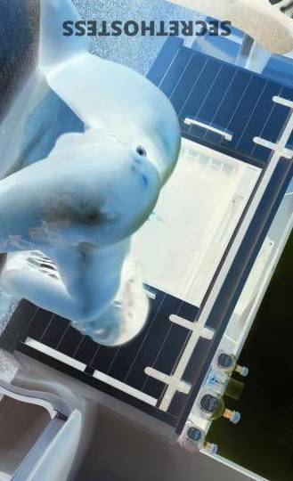 KANDII 25Yrs Old Escort Treasure Coast FL Image - 2