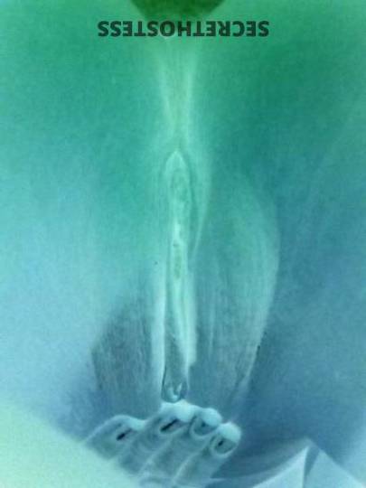 Stacey 37Yrs Old Escort Mohave County AZ Image - 8