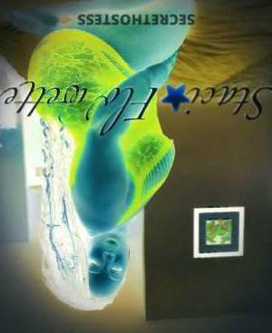 28 year old Escort in Eastern NC Unleash Your Wild Side with the Sweetheart of Your Dreams - 