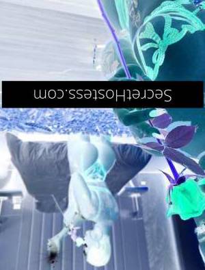 20 year old Escort in Cannon Hill Brisbane Experience Sensational Companionship TS Peyton Unveils 