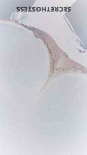 29 year old German Escort in Frederick MD Experience the Divine 22-Year-Old Germantown Temptress 