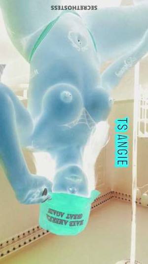 Angie 27Yrs Old Escort Long Island NY Image - 2