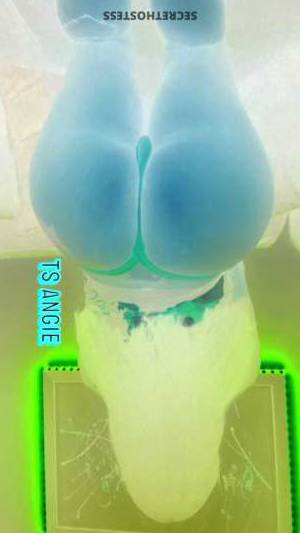 Angie 27Yrs Old Escort Long Island NY Image - 3
