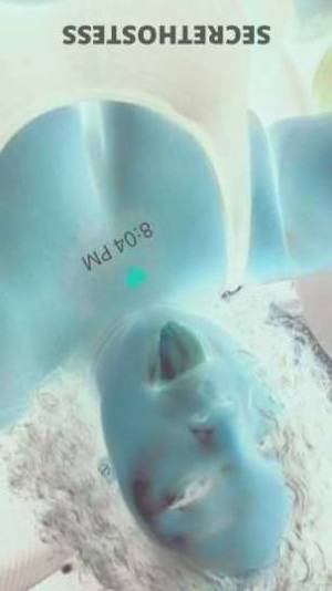Blackie/head_huntress 26Yrs Old Escort Tampa FL Image - 3