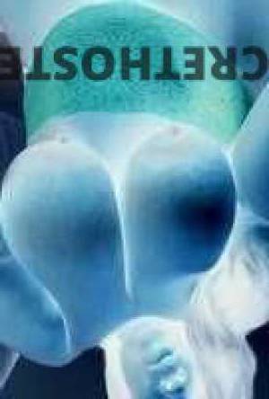 43 year old Escort in Oklahoma City OK Preferred Playmate Busty Erica Seeking Gentlemen in Oklahoma