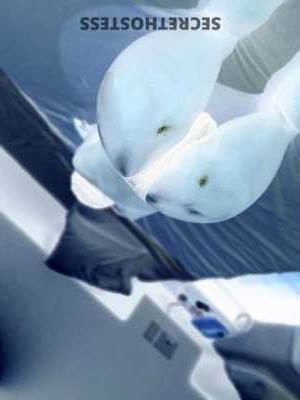 26 year old American Escort in San Luis Obispo CA Let Me Satisfy Your Fantasies Awaits Your Call, Sexy Indica