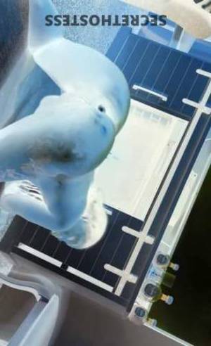 KANDII 25Yrs Old Escort Treasure Coast FL Image - 2