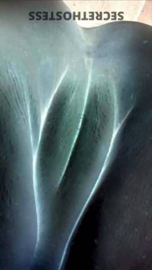 34 year old Escort in Sacramento CA Unleash Your Wild Desires with a Blonde Bombshell in Rancho 