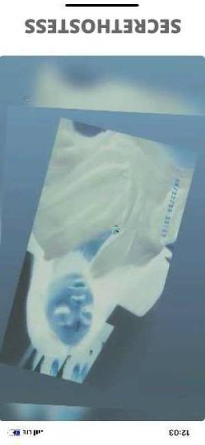 Kenya 21Yrs Old Escort Little Rock AR Image - 2