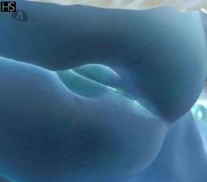 26 year old Latino Escort in Wicklow East Coast and Midlands Snapchat nathaliea , WhatsApp xxxx-xxx-xxx - Sexy and 