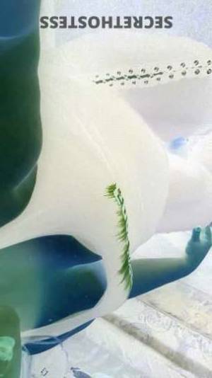 33 year old Escort in Greensboro NC Experience Blissful Pleasure with a Voluptuous TS Goddess in