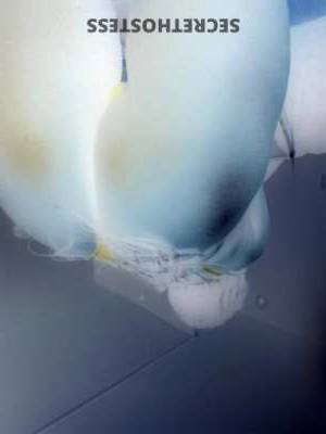 Nairobi 29Yrs Old Escort Manhattan NY Image - 5