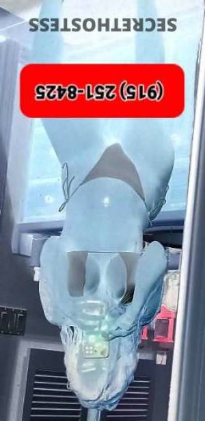 PAMELATUCHILENAREAL 25Yrs Old Escort El Paso TX Image - 9