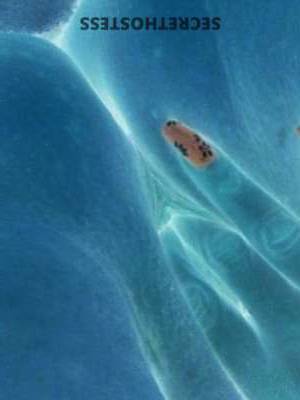 44 year old Escort in Cleveland OH Sweet & Seductive Escort in Cleveland, Ohio Escape to 