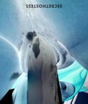 24 year old Dominican Escort in New Haven CT Let me fulfill your dreams, baby - I'm Stormy, your 