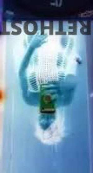 Tierra 34Yrs Old Escort Springfield MO Image - 7