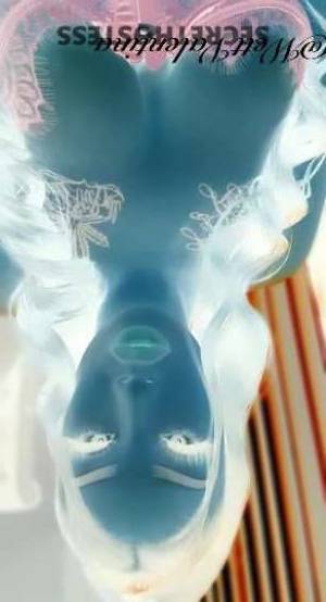 VAL? 24Yrs Old Escort Stockton CA Image - 6