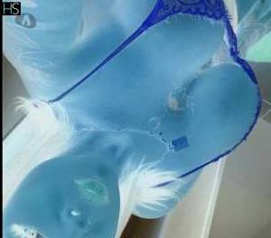 19Yrs Old Escort Santa Catarina Image - 3