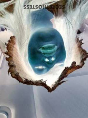 25Yrs Old Escort Killeen TX Image - 3