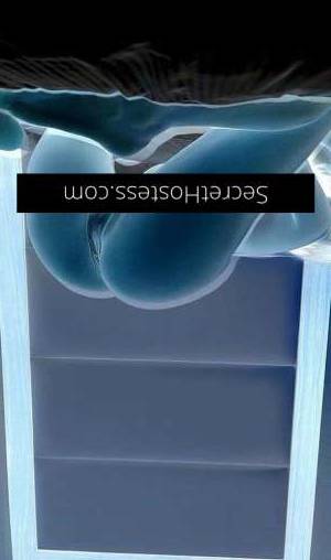 25 year old Escort in Applecross Perth Stella Your Delectible Playmate Who's Just Arrived in 