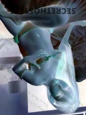 26 year old Escort in Mooloolaba Sunshine Coast The Ultimate Playmate Let's Indulge in Pleasure 