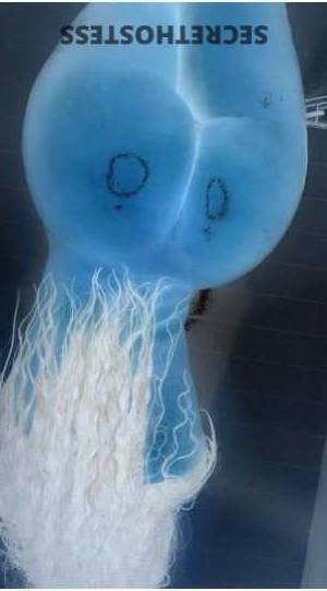 28Yrs Old Escort Tri-Cities WA Image - 8