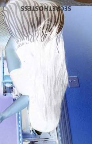 29 year old Colombian Escort in San Jose CA Attractive Colombian Curvy and Voluptuous, Ready to Please 