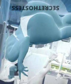 26 year old Escort in Canberra the absorption of oxygen by plants is "Fresh Air and 