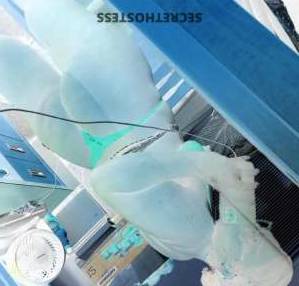 Diamond 21Yrs Old Escort Rochester NY Image - 1