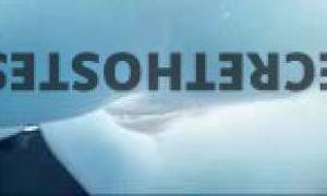 28 year old Escort in Kansas City MO Fulfill Your Every Desire with Famous, Your Elite Companion 