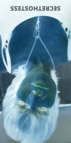 Jewel 35Yrs Old Escort Canton OH Image - 6