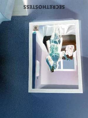 Layla 20Yrs Old Escort Seattle WA Image - 3