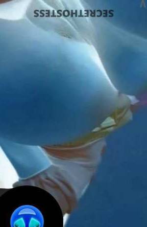 28 year old Colombian Escort in San Jose CA Experience the Best MIA - The Ultimate Colombian Temptress