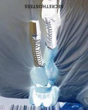 Paris 22Yrs Old Escort Albuquerque NM Image - 2