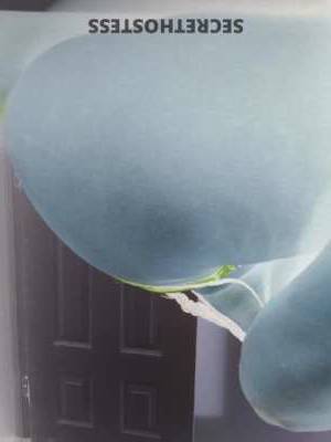 Sashafierce 31Yrs Old Escort Charleston SC Image - 5