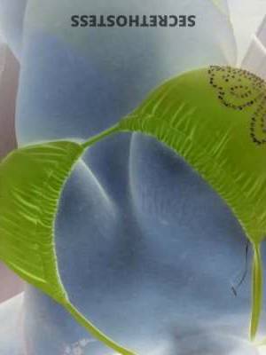 Sashafierce 31Yrs Old Escort Charleston SC Image - 7