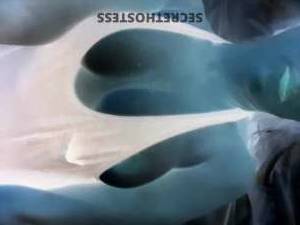 Stacey 37Yrs Old Escort Mohave County AZ Image - 1