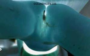 19Yrs Old Escort Los Angeles CA Image - 3