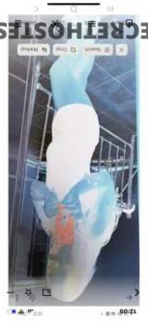 Experience Scorching Hot Sensual Pleasures with the Central  in Gosford